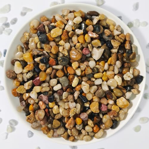 3Lb Pebbles for Indoor Plants,River Rocks for Succulent Plants,Aquarium Gravel,Decorative Stones Bonsai Garden Pebbles,Aquarium Rocks for Landscaping,Plants,Vase Fillers (Brown)