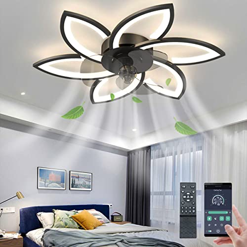 What are the Features of Smart Ceiling Fans