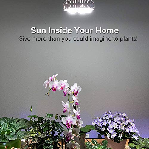 SANSI led E27-plantenlamp, volspectrum, 36W, licht voor planten, daglichtwit, 2700 lm, groeilamp voor de volledige… - Image 6