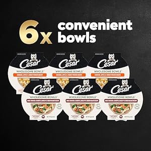 Cesar wholesome bowls grownup comfortable moist canine meals selection pack beef rooster carrots barley  inexperienced beans recipe and rooster apple  candy potato recipe 6 3 oz Bowls   cucciolini doodles