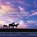 Native Spirit: A Relaxing Flute Collection