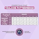 Eukanuba Welpenfutter mit frischem Huhn für kleine Rassen, Premium Trockenfutter für Junior Hunde, 3 kg