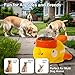 Fanosy Interactive Dog Toys Food Puzzle Slow Feeder, Cat Treat Dispenser Toy Duck-Shaped Enrichment Toy for Small Medium Dogs and Cats, IQ Training and Exercise Small Animal Bowls