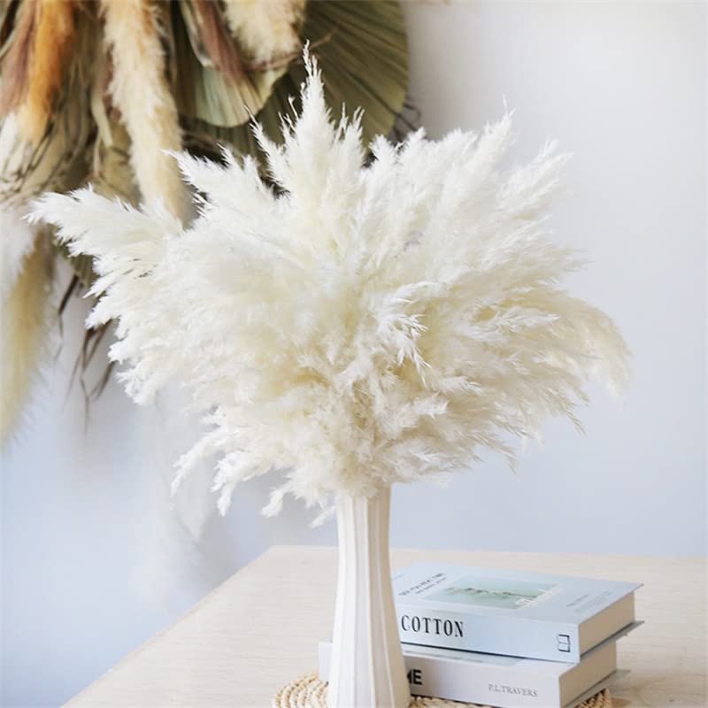 Getrocknete Pampasgras-Dekoration, Hochzeit, Blumenstrauß, natürliche Pflanzen für Zuhause, Weihnachtsdekoration, Geschenk, trockene Blume