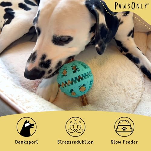 PawsOnly | Hundespielzeug | Leckerli Ball für Hunde | Intelligenzspielzeug | Snackball Hund | Hundebeschäftigung | Futterball Naturkautschuk | Welpenspielzeug | Zahnputzball (Groß 8 cm, Orange)