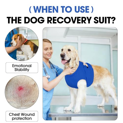 Image of BRKURLEG Chest Recovery Suit for Dogs, Chest Wound Cover, Blue XS