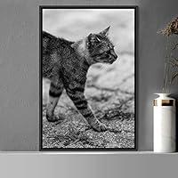 Framed Canvas Wall Art Duotone Cat Animals Black and White Contemporary Dogs Duotone Expressive Grey Living Room Photography - 16x24 inches
