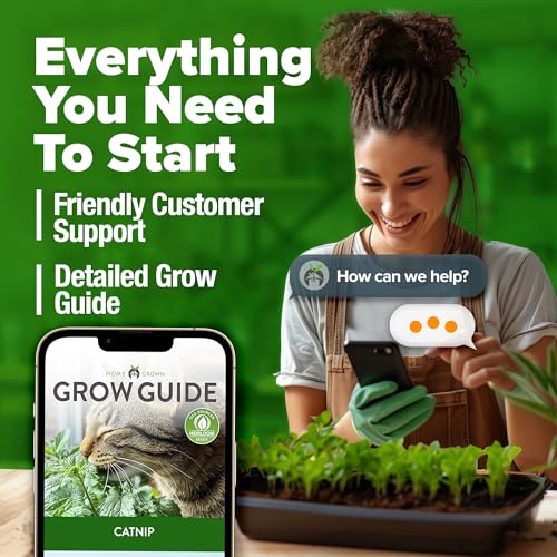 Image of HOME GROWN Catnip Seeds (2 Pack) Heirloom Herb 4232 Seeds - Indoor or Outdoor Seed - High-Germination Cat Nip - Cat Safe Plants (Nepeta cataria)