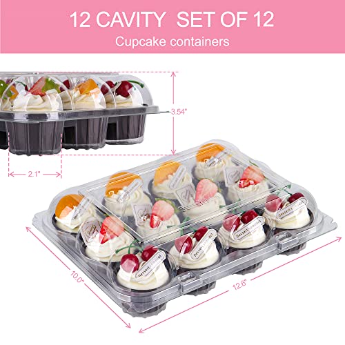 Aukus Cupcake Containers 12 Count, Cupcake Boxes 12 Count, Deep Dome, Stackable & Disposable (Pack Of 12) #TOP5