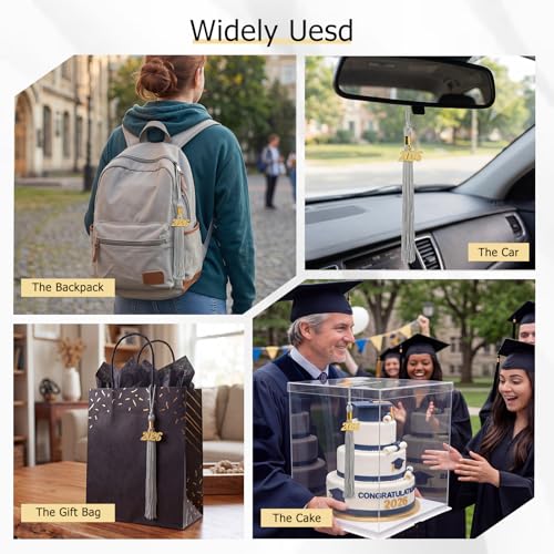 Image of GraduationMall Single&Multiple Color Graduation Tassel with 2026 Year Charm 9 inch