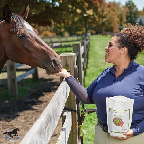 image for SMARTPAK SmartEquine SmartCookies | Healthy Treats For Horses Made Fro