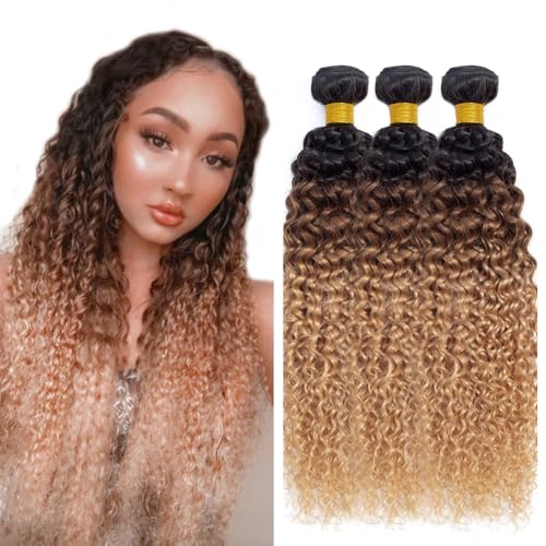 Honey Blonde Human Hair Bundles Ombre Kinky Curly...