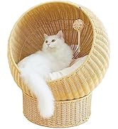 Sumikaロミャオ フレンチバルコニーのみ キャットタワー ラージサイズ Amazon | [SUMIKAフレンチバルコニーRomyaoロミャオ ウッドM