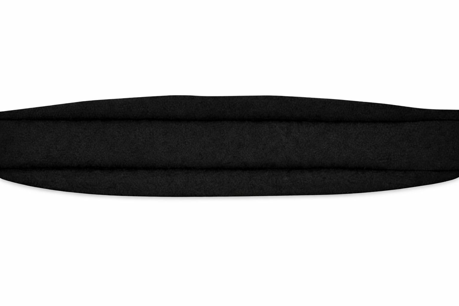 Generisch Akkordeon Bassriemen 120 Bässe schwarz inkl. Verstellerset – verstellbarer, gepolsterter Bassgurt für Akkordeon – robustes Leder, traditionell & komfortabel für Musikanten