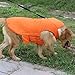 PETCEE Waterproof Dog Winter Jacket, Dog Winter Coat Windproof Warm Winter Dog Jacket for Large Dog Pet Jacket for Cold Weather - 2 Layer (Orange L)