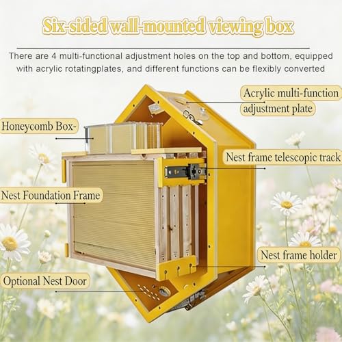 Bienenstock für den Innenbereich mit Sichtfenster Honig Sammelbox für Hobby Imker und Bienenkolonien Ernte