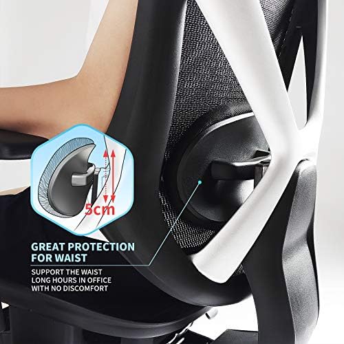 IntimaTe WM Heart Office Chair, Mesh Cushion, High Back, Strengthen Spine Lumbar Support, Ergonomic Fit with Adjustable Armrest and Headrest for Home & Office (Black)