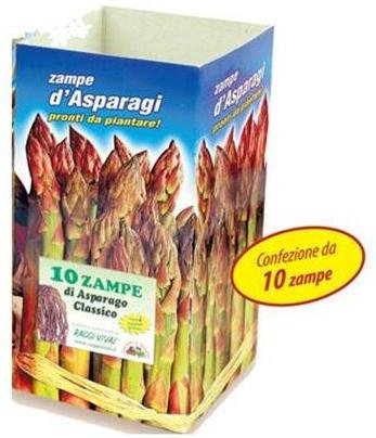 ZAMPE DI ASPARAGO DA PIANTARE BOX PEZZI 10