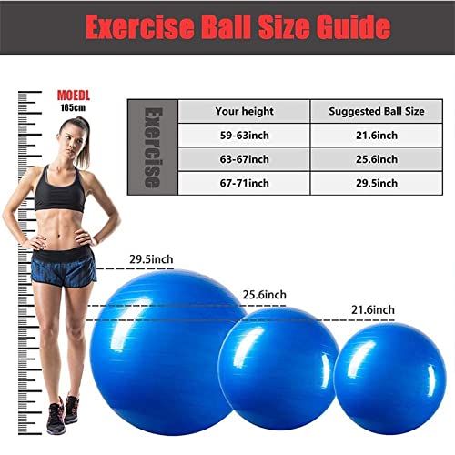 PVC piłka gimnastyczna zagęszczona piłka do jogi 45/55/65/75 cm joga siłownia ćwiczenia ćwiczenia piłka mucha mate pilates pompka piłka w zestawie z pompką piłka do jogi (GRAY-55cm)