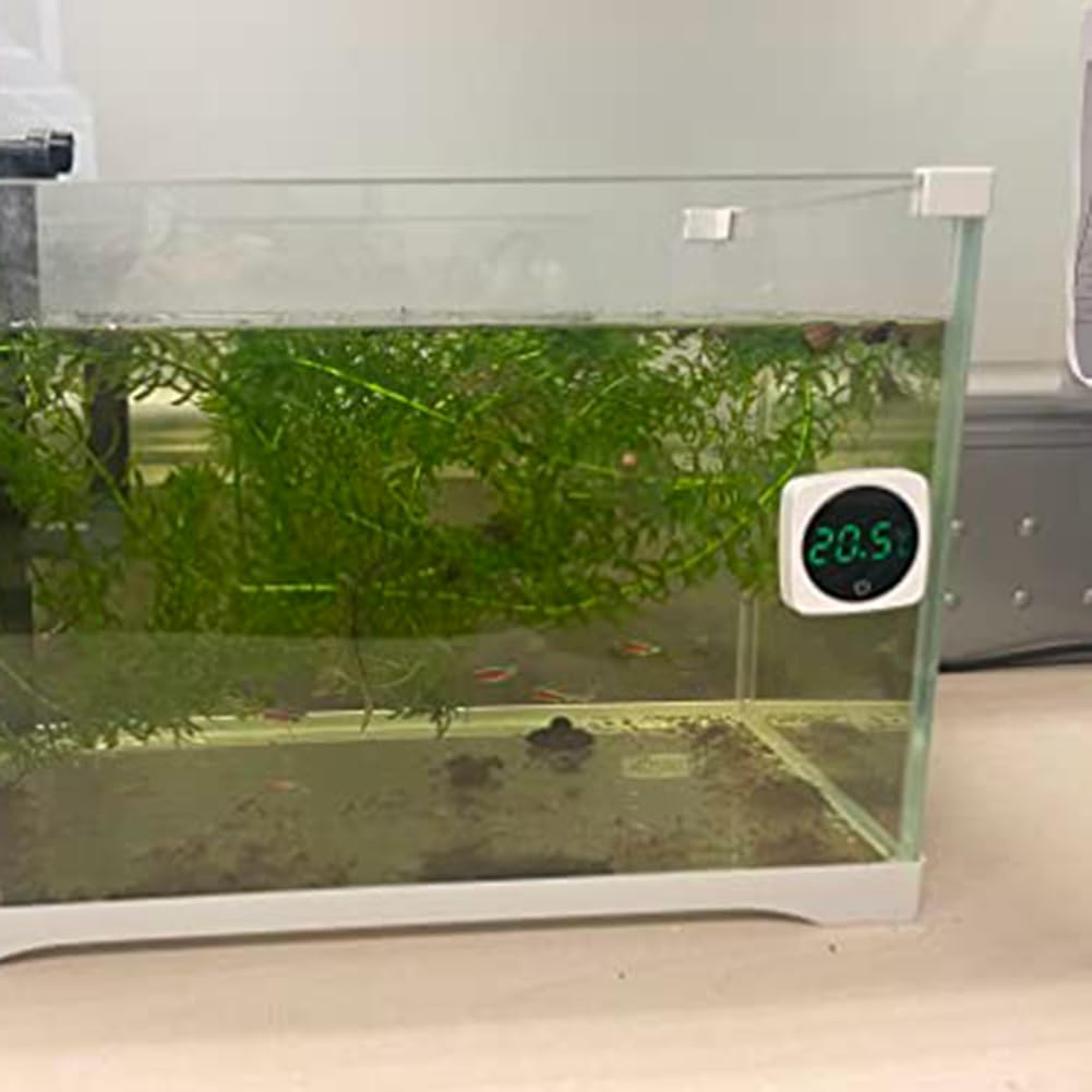Bamberg Termómetro de acuario de 2 piezas, sensor de temperatura con una precisión de ± 0,9 °C, ABS blanco, pantalla táctil 5S Refresh, HD Digital