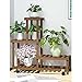 5-warstwowe drewniane regały na rośliny Rack-Display-Regał Home Indoor Outdoor-Garten-ogród-patio-balkon-kwiaty-stojak na doniczkę (kolor: G2)