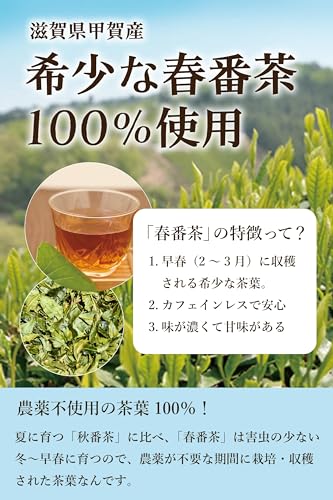 赤ちゃん番茶 近江赤ちゃん番茶 ティーバッグ100包