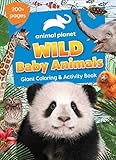 Animal Planet: Wild Baby Animals Coloring Book (Jumbo Coloring Book)