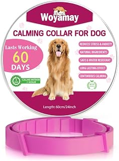 Woyamay Flea Treatment Cat, 4 Pack Flea Collar for Cats, Adjustable Water Resistant Cat Flea Collars, Natural 8 Months Protection Cat Flea and Tick Collar for All Cat Breeds and Sizes, Grey