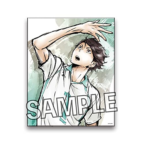 ハイキュー!! 激闘キャンバスアート 及川徹