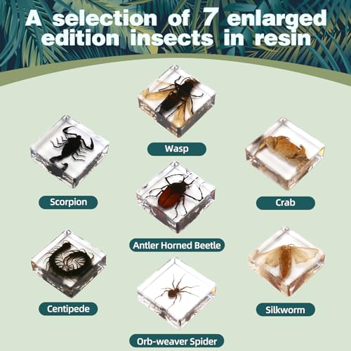 image for Hudirgo 7 Pcs Real Taxidermy Bugs - Insects in Resin for School Lab En