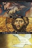 Jesus in Trinitarian Perspective