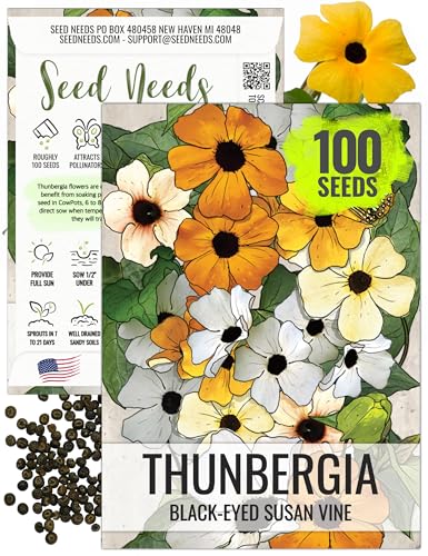 Seed Needs, Black-Eyed Susan Vine Seeds - 100 Heirloom Seeds for Planting Thunbergia alata - Annual Vining Flowers to Cover a Fence or Trellis (1 Pack)