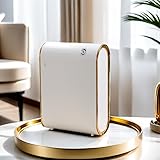 水を使わないエッセンシャルオイルディフューザー 家庭用 商業用 容量350ml 1500平方フィート用 スマート香りディフューザー 広い部屋用 Bluetoothホテルコレクションディフューザー アプリコントロール付き ホワイトとゴールド