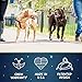 2 Hounds Design Freedom No Pull Dog Harness, Adjustable Harness, Easy Walking & Comfortable Control, Fits Small, Medium & Large Dogs, Solid Colors, Made in USA, 1