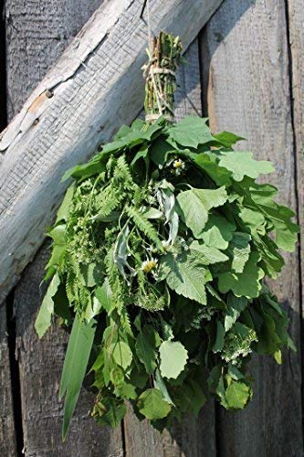 Preisvergleich Produktbild Sauna Mixreisig / Mix Reisig für Sauna