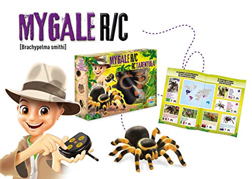 Nature Mygale Radiocommandée - vue 4