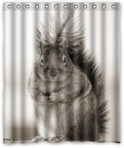 60"(w) x 72"(h) Cute Funny Fat Squirrel Bathroom Shower Curtain Shower Rings Included, 100% Polyester
