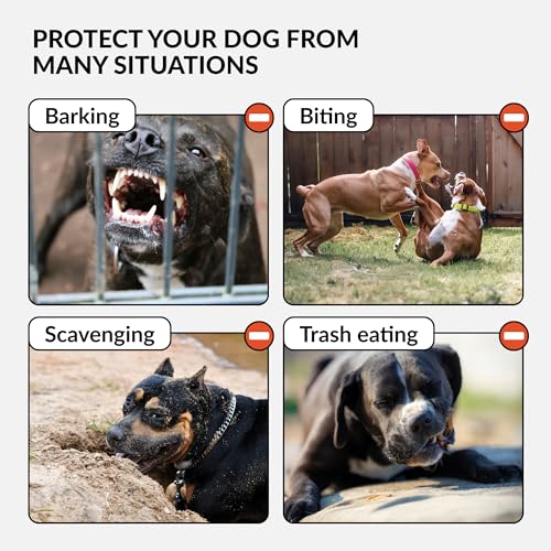 CollarDirect Pitbull Hundemaulkorb Leder Amstaff Maulkörbe Staffordshire Terrier Sicherer Korb (Braun)