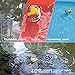 QIYHBVR Mini RC Boat Ship 2.4G Remote Control Hovercraft Charging Waterproof Crash Resistant RC Racing Boats Kids Water Swimming Pool Toy