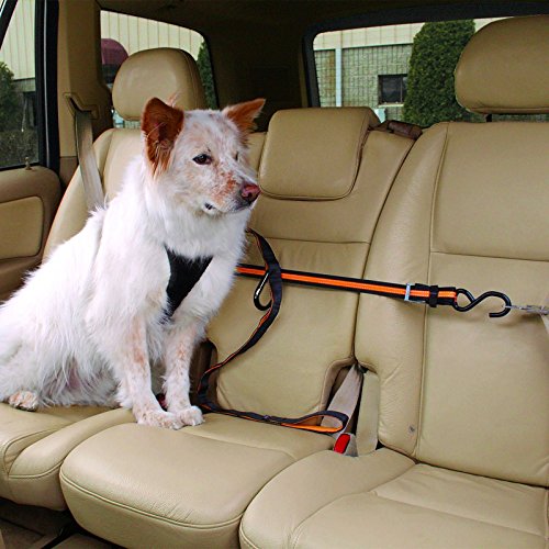 Kurgo Auto Zip Line - Backseat Zipline Harness for Car Travel - Dog Car Accessory for Safe Rides - Adjustable Pet Tether - Durable Nylon Zipline Leash Travel System - Image 4
