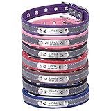 Aus weichem, strapazierfähigem und bequemem PU-Leder mit reflektierenden Streifen. Macht Ihren Doggo sicher und sichtbar während der Gehzeit bei Tag & Nacht. Rundnagel hat doppellagige Verstärkung Design, das Metall schnalle stabiler und langlebiger