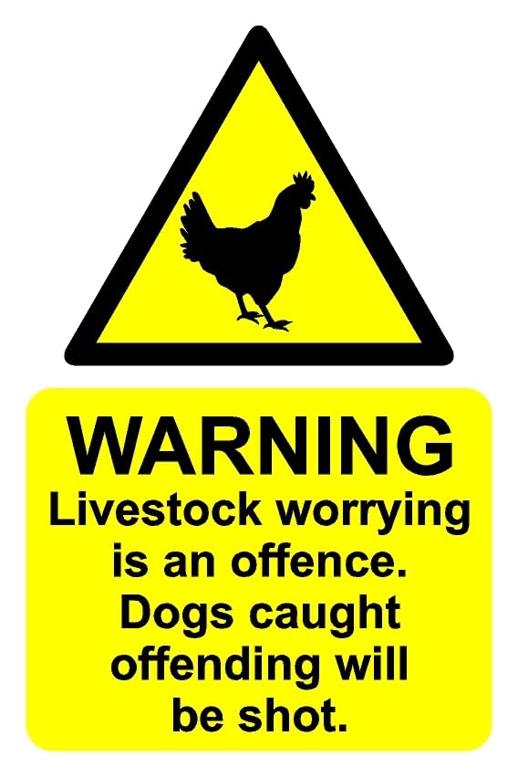 Warning no livestock worrying offending dogs will be shot safety sign - 1mm flexible Plastic sign (300mm x 200mm)