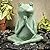 Evergreen Garden 11" Praying Frog Resin Animal Statues, Indoor/Outdoor Garden Animal Figurines for Garden Decor Yard Art for Lawn Backyard Wedding Home Decoration, Housewarming Gift