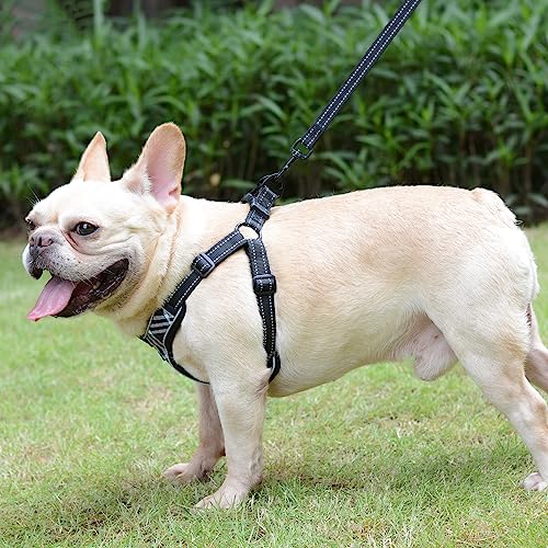 Elevant Hundegeschirr Einstellbar, Step-in Geschirr Reflektierend, Weich Gepolstert Atmungsaktiv Brustgeschirr für Kleine, Mittelgroße und Große Hunde, Welpen (S, Schwarz Kariert)