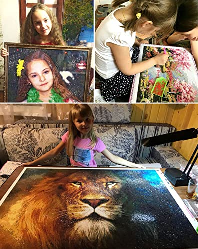 5D Diamond Painting Kit Completo, Round Full Drill...
