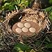 NUOBESTY 8pcs Breathable Pigeon Nest Pads Natural Coconut Fiber Bird Nesting Mats 23cm Diameter Moisture-Proof Breeding Pads for Small Birds and Parrots