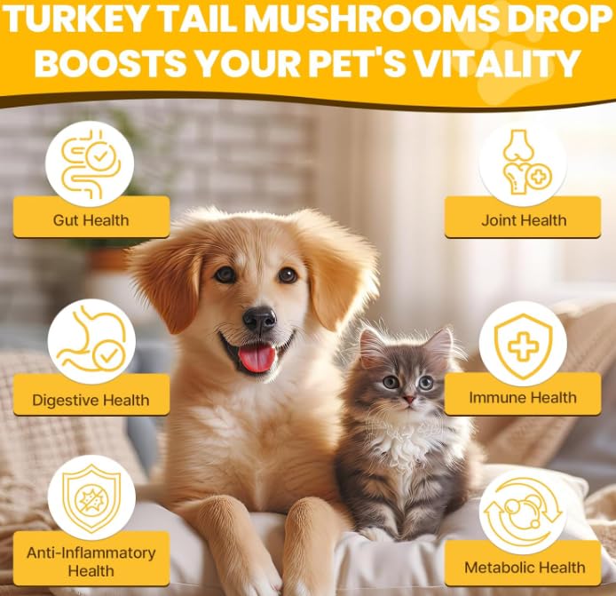 Champignon queue dinde pour chiens, pour levures et démangeaisons cutanées | Santé immunitaire, digestif, peau, énergie, soutien vitaminique des articulations, curcuma et probiotiques