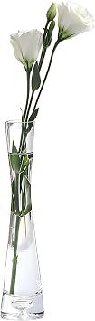 7.9inch Clear Glass Bud Vase, Tall Narrow Neck Single Stem Vase