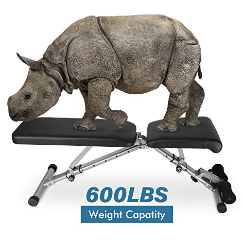 ER KANG Adjustable Weight Bench, 600 lbs Weight Capacity Foldable Workout Bench, Decline/Incline/Flat for Home Gym, Strength Training, Weightlifting