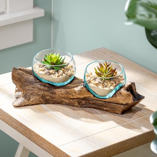 Cape Craftsmen Set of 2 Terrariums | Hand-Blown Blue Tinted Bubble Glass On Natural Teak Driftwood Terrarium | Home Décor Indoor Planter with Stand | Pot for Succulent and Plants